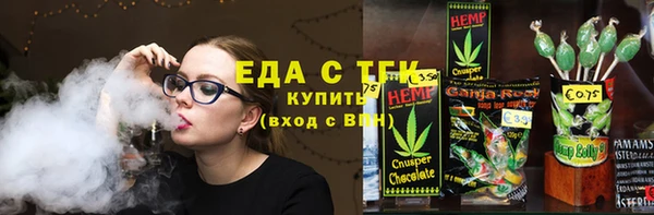 тгк Алзамай