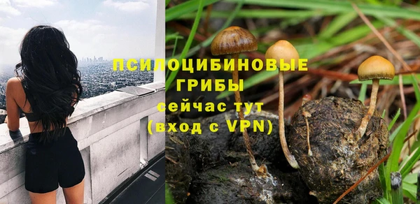 тгк Алзамай