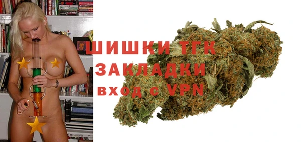 тгк Алзамай