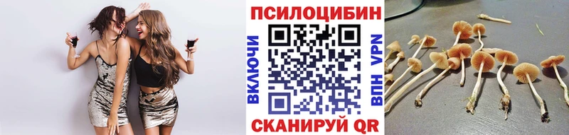 Псилоцибиновые грибы GOLDEN TEACHER  купить   Десногорск 